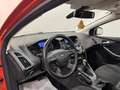 Ford Focus Focus 2.0 TDCi 115CV 5p.Powersh.Tit. Bs. Orange - thumbnail 17