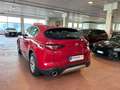 Alfa Romeo Stelvio BUSINESS 2.2 Turbodiesel AT8 Q4 53000 KM Rosso - thumbnail 4