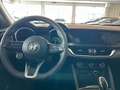 Alfa Romeo Stelvio BUSINESS 2.2 Turbodiesel AT8 Q4 53000 KM Rosso - thumbnail 6