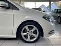 Mercedes-Benz B 180 CDI Navi Kamera Sitzh. AHK Bi-Xenon PDC Weiß - thumbnail 23