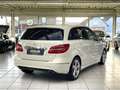 Mercedes-Benz B 180 CDI Navi Kamera Sitzh. AHK Bi-Xenon PDC Weiß - thumbnail 2