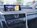 Lexus RX 450h 450h 4WD Executive Touvrant Sieges chauf/ventil/cu Gris - thumbnail 14