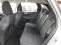 Ford Kuga 1,5 EcoBlue Cool & Connect *8-fach bereift* Gris - thumbnail 22