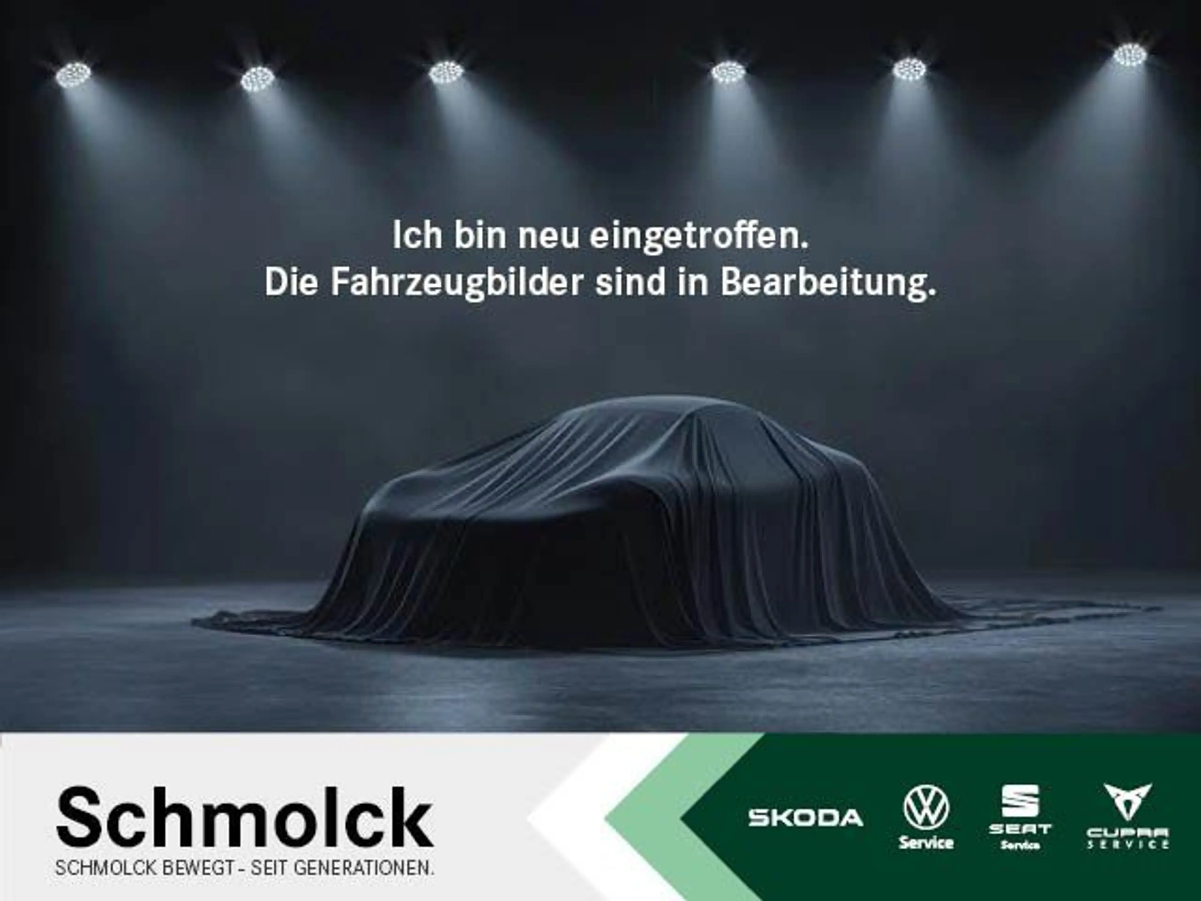Skoda Fabia Ambition 1.0 TSI 110 PS LED SHZ DAB