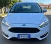 Ford Focus SW 1.5 tdci Titanium s&s 95cv my17 - thumbnail 1
