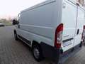 Citroen JUMPER Bianco - thumbnail 5