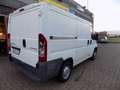 Citroen JUMPER Bianco - thumbnail 3