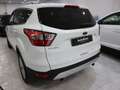 Ford Kuga 1.5 EcoBoost 88kW 4x2 Trend+ Blanco - thumbnail 8