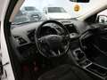 Ford Kuga 1.5 EcoBoost 88kW 4x2 Trend+ Blanco - thumbnail 2