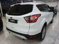 Ford Kuga 1.5 EcoBoost 88kW 4x2 Trend+ Blanco - thumbnail 9