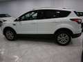 Ford Kuga 1.5 EcoBoost 88kW 4x2 Trend+ Blanco - thumbnail 10