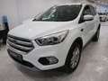 Ford Kuga 1.5 EcoBoost 88kW 4x2 Trend+ Blanco - thumbnail 3