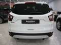 Ford Kuga 1.5 EcoBoost 88kW 4x2 Trend+ Blanco - thumbnail 7
