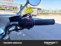 Triumph Black Nero - thumbnail 11