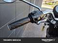 Triumph Black Nero - thumbnail 10