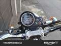Triumph Black Nero - thumbnail 9