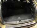 Subaru OUTBACK Outback Edition Exclusive Cross Verde - thumbnail 8