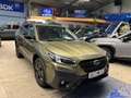Subaru OUTBACK Outback Edition Exclusive Cross Verde - thumbnail 1