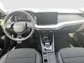 Skoda Octavia Selection TDI DSG Grau - thumbnail 8