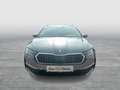 Skoda Octavia Selection TDI DSG Grau - thumbnail 2