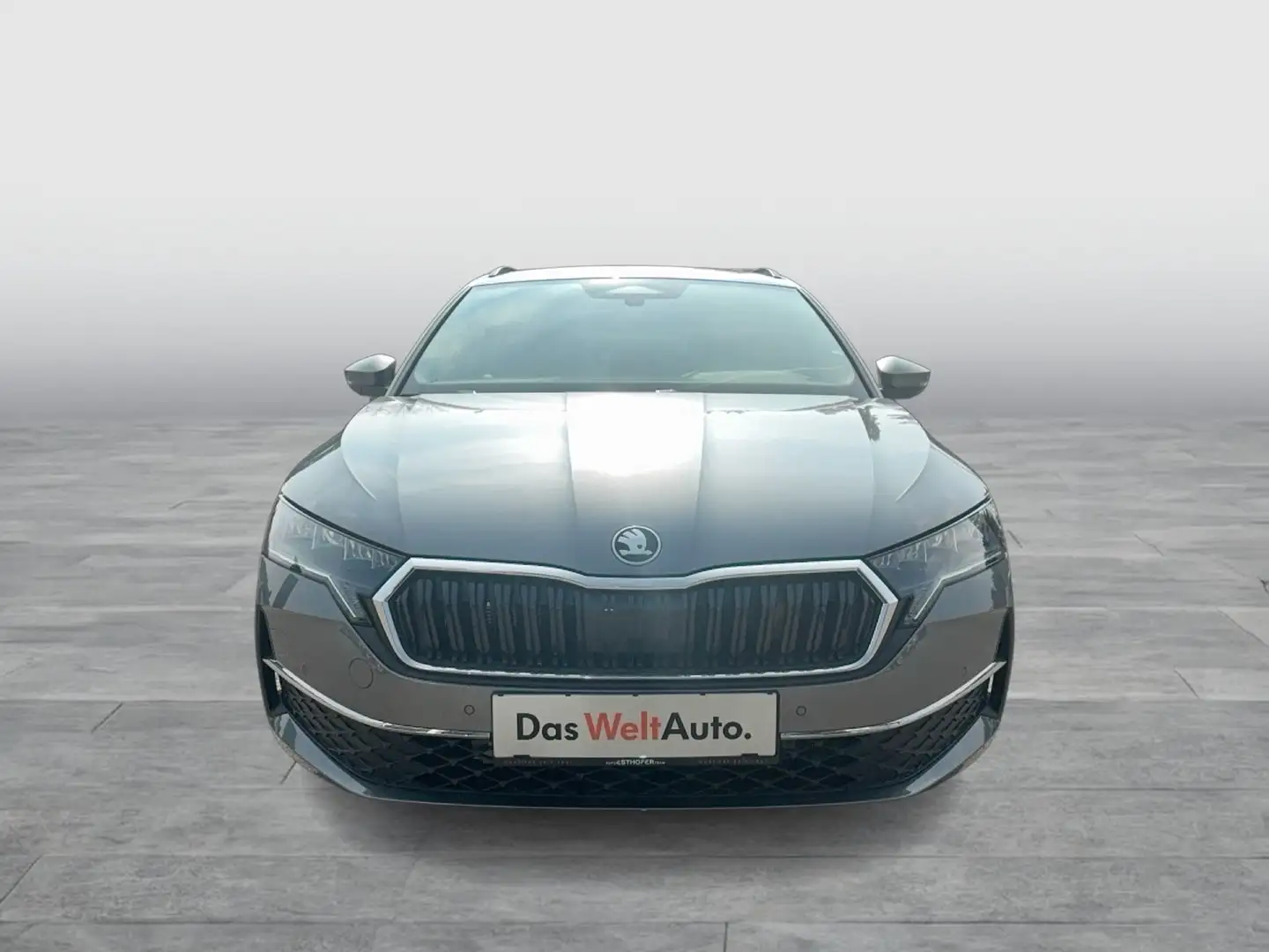 Skoda Octavia Selection TDI DSG Grau - 2