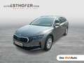 Skoda Octavia Selection TDI DSG Grau - thumbnail 1