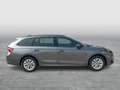 Skoda Octavia Selection TDI DSG Grau - thumbnail 5