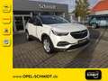 Opel Grandland Grandland 1,2 Innovation - thumbnail 1