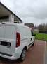 Fiat Doblo Doblo Cargo Wit - thumbnail 9