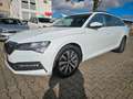 Skoda Superb Komb.Ambit.AUT*AHK*NAVi*VIRTUAL*STANDHEIZ Biały - thumbnail 8