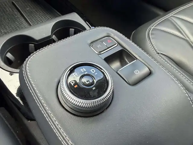 Ford Mustang Mach-E view 21