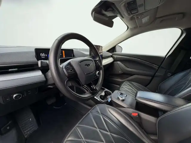 Ford Mustang Mach-E view 5