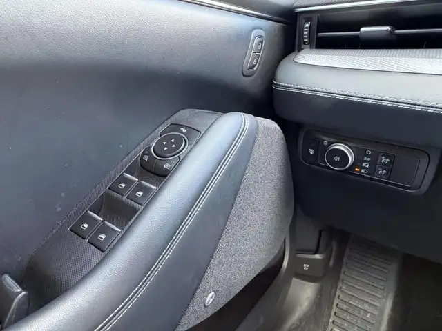 Ford Mustang Mach-E view 19