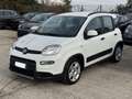 Fiat Panda Hybrid Panda 1.0cc 69cv FireFly Weiß - thumbnail 2