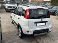 Fiat Panda Hybrid Panda 1.0cc 69cv FireFly Weiß - thumbnail 7