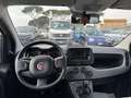 Fiat Panda Hybrid Panda 1.0cc 69cv FireFly Weiß - thumbnail 9