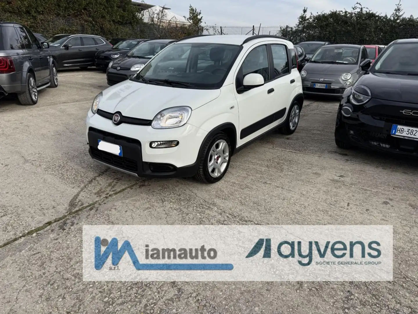 Fiat Panda Hybrid Panda 1.0cc 69cv FireFly Weiß - 1