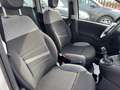 Fiat Panda Hybrid Panda 1.0cc 69cv FireFly Weiß - thumbnail 15