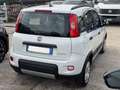 Fiat Panda Hybrid Panda 1.0cc 69cv FireFly Weiß - thumbnail 5