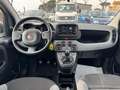 Fiat Panda Hybrid Panda 1.0cc 69cv FireFly Weiß - thumbnail 10