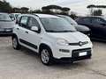 Fiat Panda Hybrid Panda 1.0cc 69cv FireFly Weiß - thumbnail 4