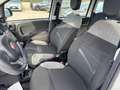 Fiat Panda Hybrid Panda 1.0cc 69cv FireFly Weiß - thumbnail 14