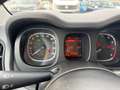 Fiat Panda Hybrid Panda 1.0cc 69cv FireFly Weiß - thumbnail 12