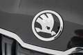 Skoda Karoq 1.5 TSI ACT Business Edition Plus | Pano | Sportst Zwart - thumbnail 7