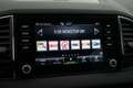 Skoda Karoq 1.5 TSI ACT Business Edition Plus | Pano | Sportst Zwart - thumbnail 21