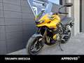Triumph Tiger 800 Sport Abs Giallo - thumbnail 11