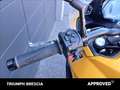 Triumph Tiger 800 Sport Abs Giallo - thumbnail 8