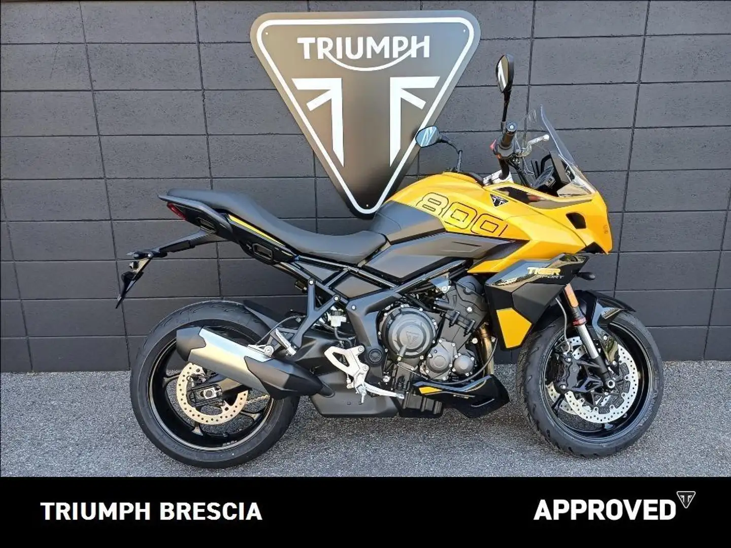 Triumph Tiger Sport Abs Giallo - 1