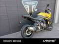 Triumph Tiger 800 Sport Abs Giallo - thumbnail 3