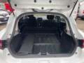 Renault Clio VAN 1.5 DCI  75 Cv 2 Posti Blanco - thumbnail 1